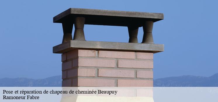 Ramoneur Fabre, un spécialiste en travaux de cheminée à appeler à Beaupuy 