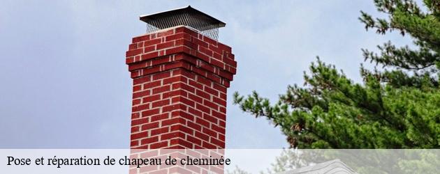 Pour une pose ou une réparation de chapeau de cheminée à Beaupuy, adressez-vous à Ramoneur Fabre