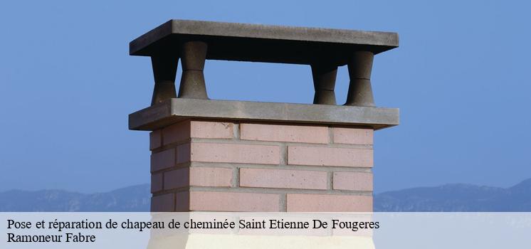 Pour une pose ou une réparation de chapeau de cheminée à Saint Etienne De Fougeres, adressez-vous à Ramoneur Fabre