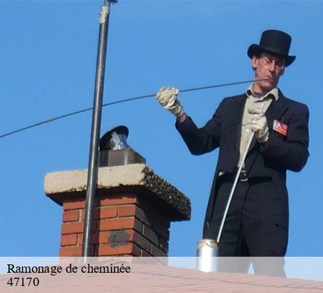 L'élégance du métier d’Artisan ramonage de cheminée à Andiran