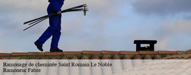 Contactez le ramoneur Ramoneur Fabre pour un ramonage de qualité à Saint Romain Le Noble